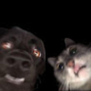 Meet your Posher, Werner stanley